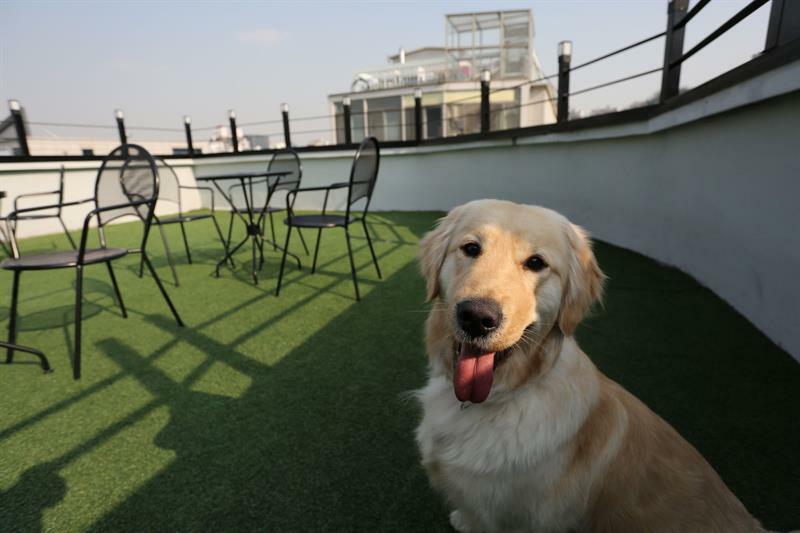 Easytrip Guesthouse Seoul Ngoại thất bức ảnh